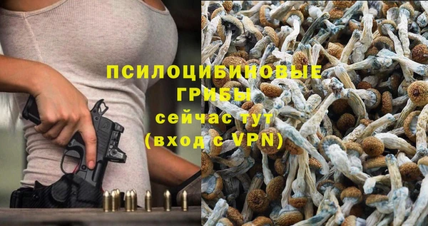 молекула духа Абинск